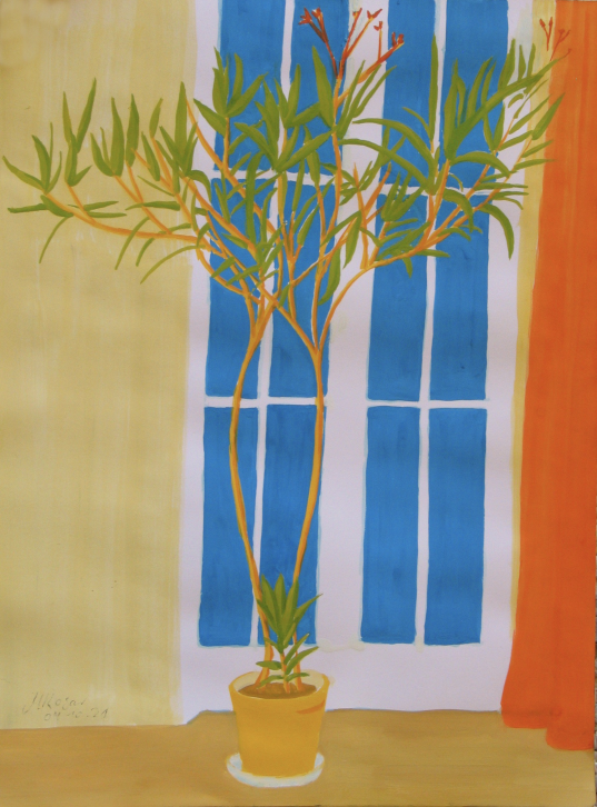 Oleander mit gelben zueinander gebogenen Stämmchen und ausladender kelchförmiger Blätterkrone und rechts oben kleinen roten Blütenansätzen vor Sprossenfenster mit himmelblauem Durchblick und gelber Wand
